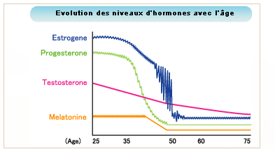 niveau_hormones_femmes_cycles_menstruel