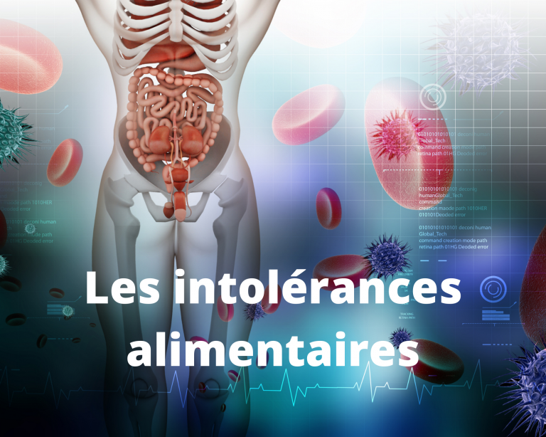 Intolerances_alimentaires_système_digestif_article_Arduinna